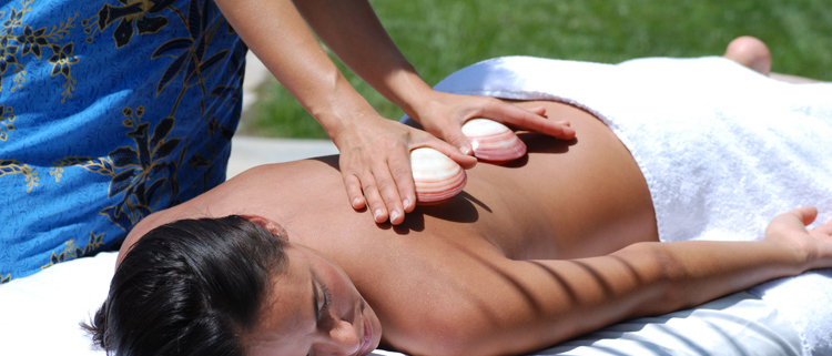 LavaShell Porcelain , Massage Therapie